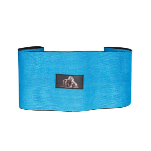 bench press band